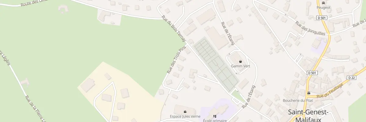Plan du 2 Rue des Trois Pins à Saint-Genest-Malifaux