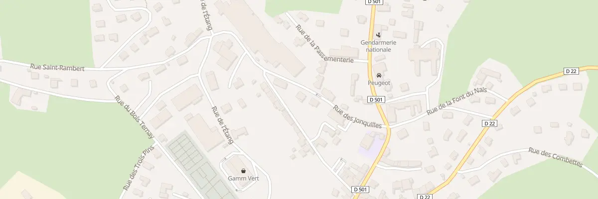 Plan du 5 Rue des Jonquilles à Saint-Genest-Malifaux