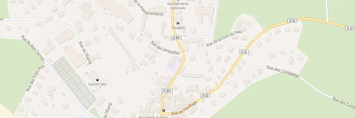 Plan du 21 Rue du Forez à Saint-Genest-Malifaux