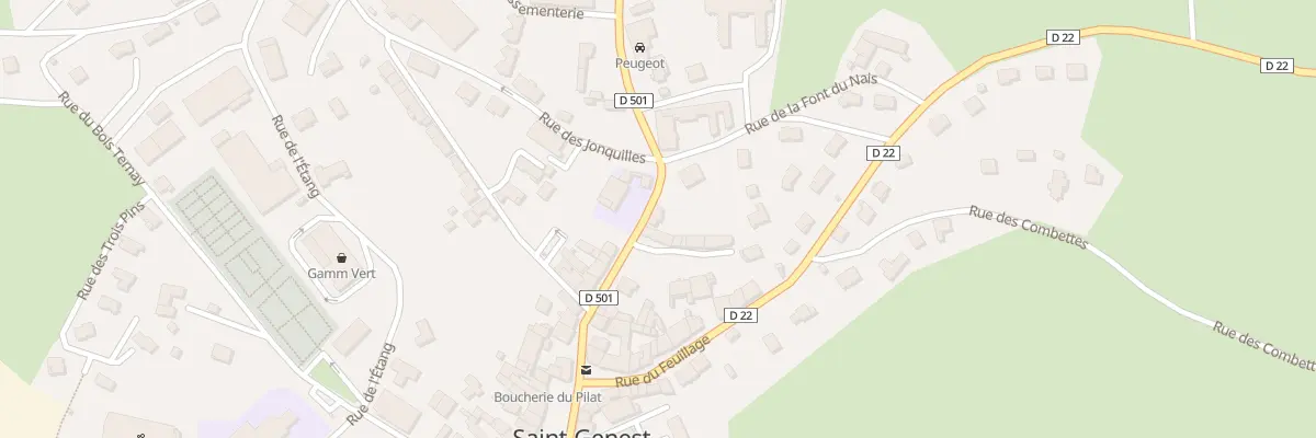 Plan du 20 Rue du Forez à Saint-Genest-Malifaux