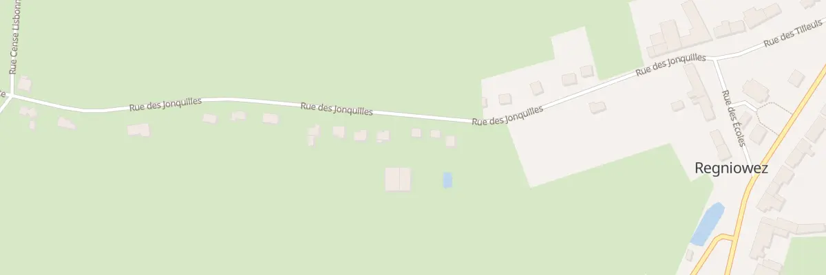 Plan du 5T Rue des Jonquilles à Regniowez
