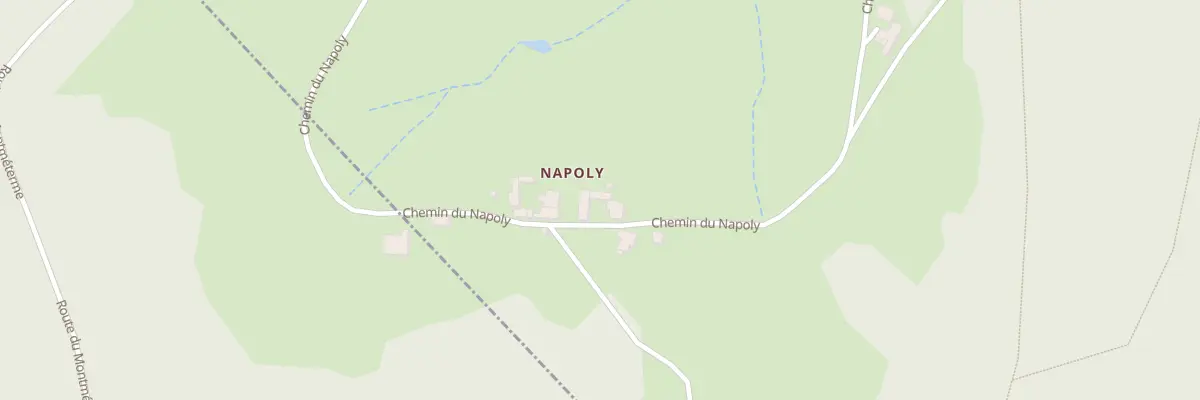 Plan du 1655 Che du Napoly à Saint-Forgeux