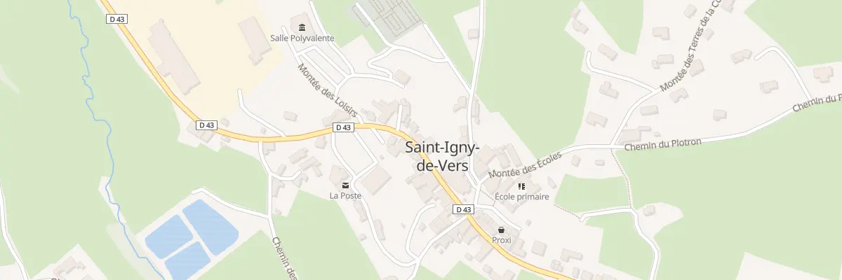 Plan du 338 Rue des Sornins à Saint-Igny-de-Vers