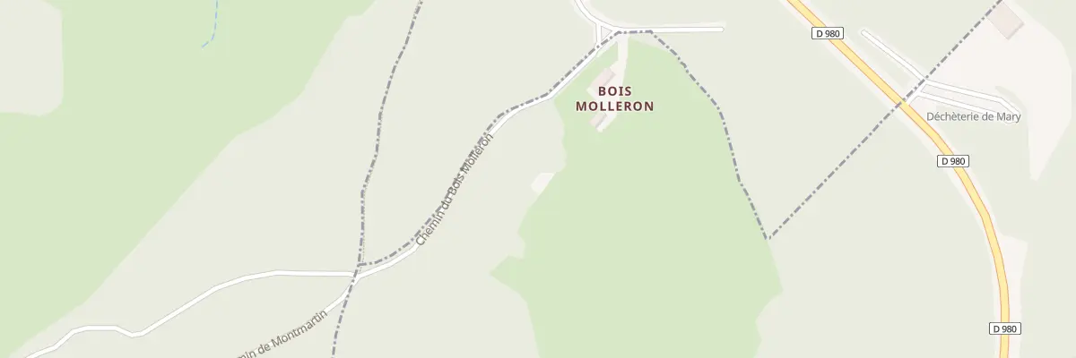 Plan du 5025 Bois Molleron à Mary
