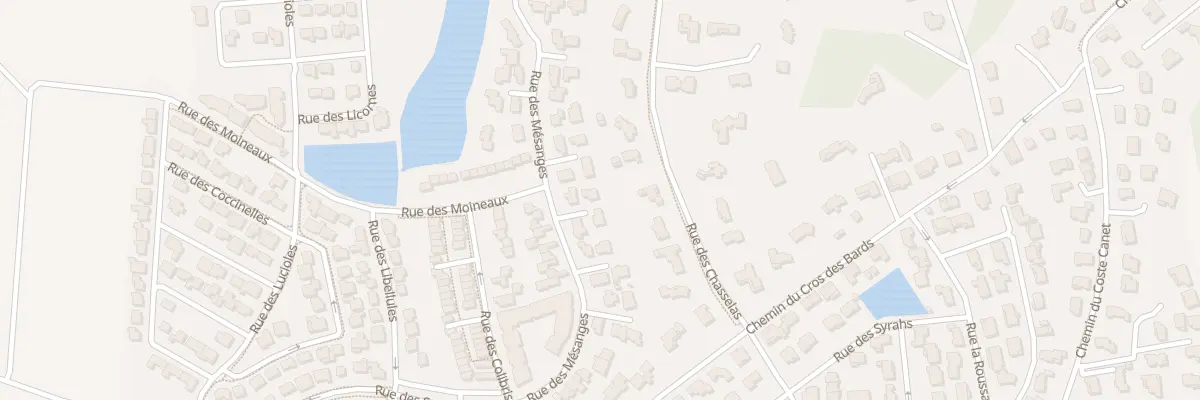 Plan du 196 Rue des Mesanges à Bellegarde