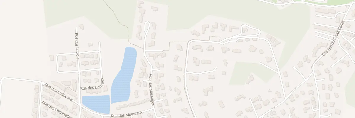 Plan du 293 Rue des Chasselas à Bellegarde