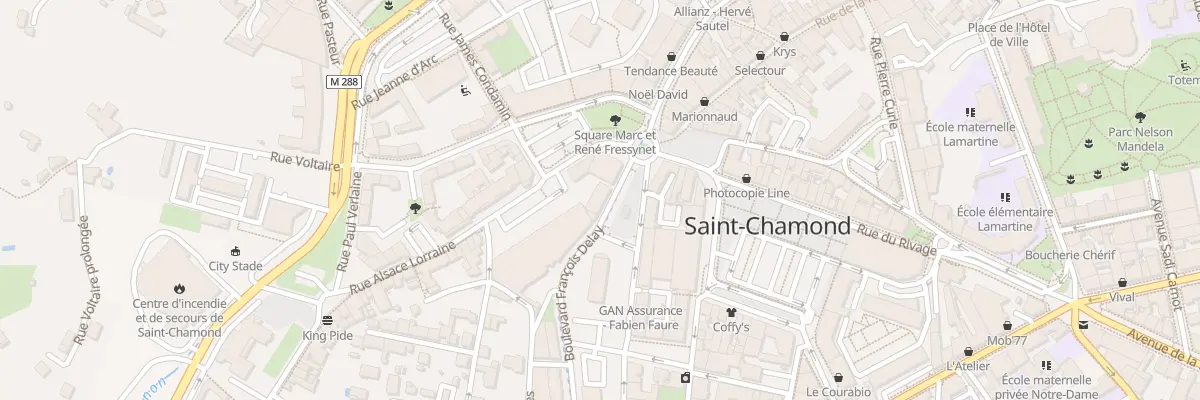 Plan du 26 Bd François Delay à Saint-Chamond