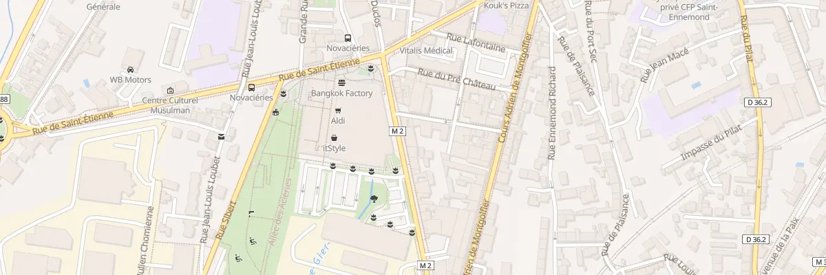 Plan du 39 Rue Maurice Bonnevialle à Saint-Chamond