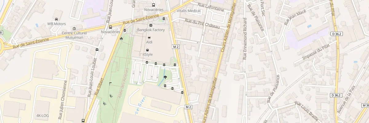 Plan du 43 Rue Maurice Bonnevialle à Saint-Chamond