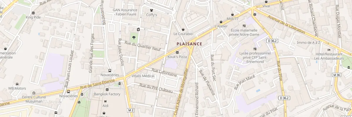 Plan du 13 Rue Gambetta à Saint-Chamond