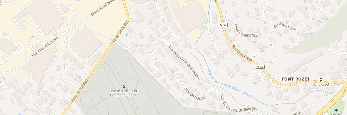 Plan du 19 Rue de la croix de beaujeu à Saint-Chamond