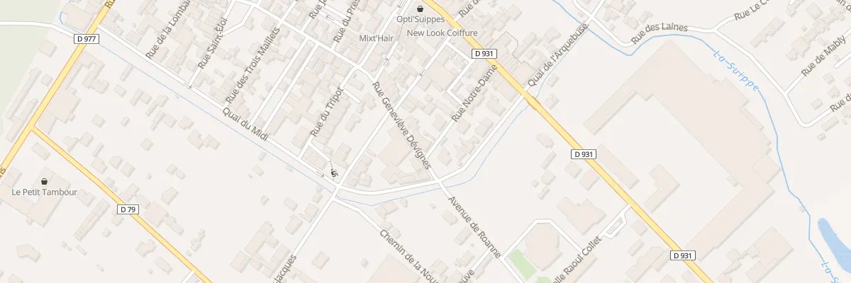 Plan du 19 Rue Geneviève Devignes à Suippes