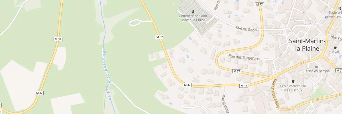 Plan du 6589 Les Fartonnières à Saint-Martin-la-Plaine