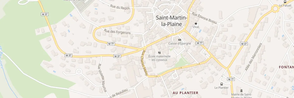 Plan du 19 Rue Etienne Féchet à Saint-Martin-la-Plaine
