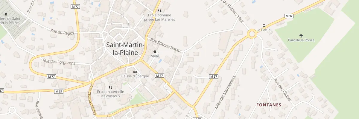Plan du 21 Rue de la Transmilière à Saint-Martin-la-Plaine