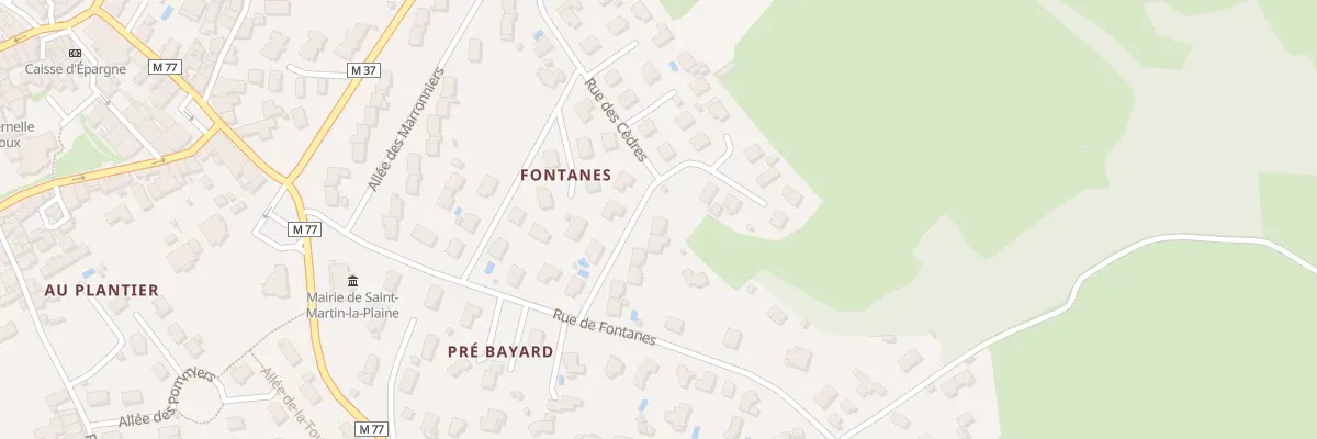 Plan du 12 Rue des Cèdres à Saint-Martin-la-Plaine