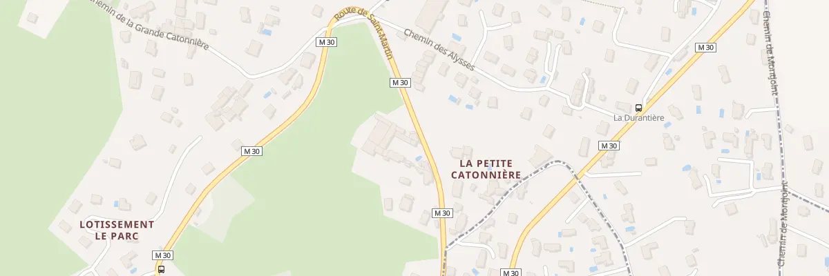 Plan du 29 Rte de Saint-martin à Saint-Martin-la-Plaine
