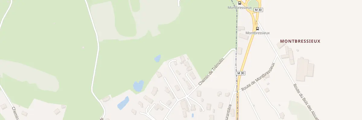 Plan du 12 Che de Tremolin à Saint-Martin-la-Plaine