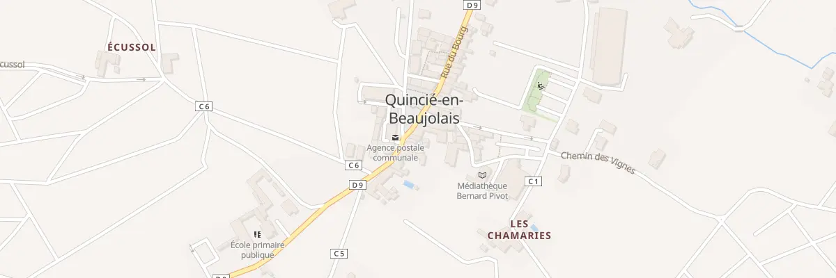 Plan du 248 Rue du Bourg à Quincié-en-Beaujolais