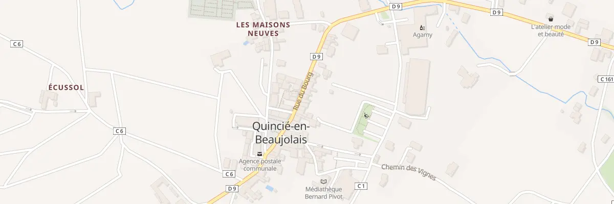 Plan du 348 Rue du Bourg à Quincié-en-Beaujolais