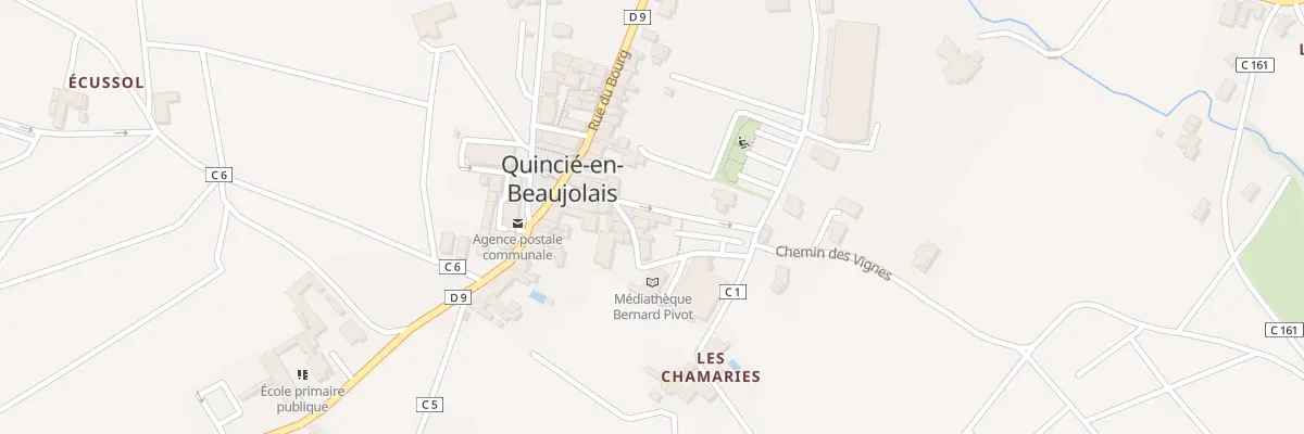 Plan du 64 Rue des Chamaries à Quincié-en-Beaujolais
