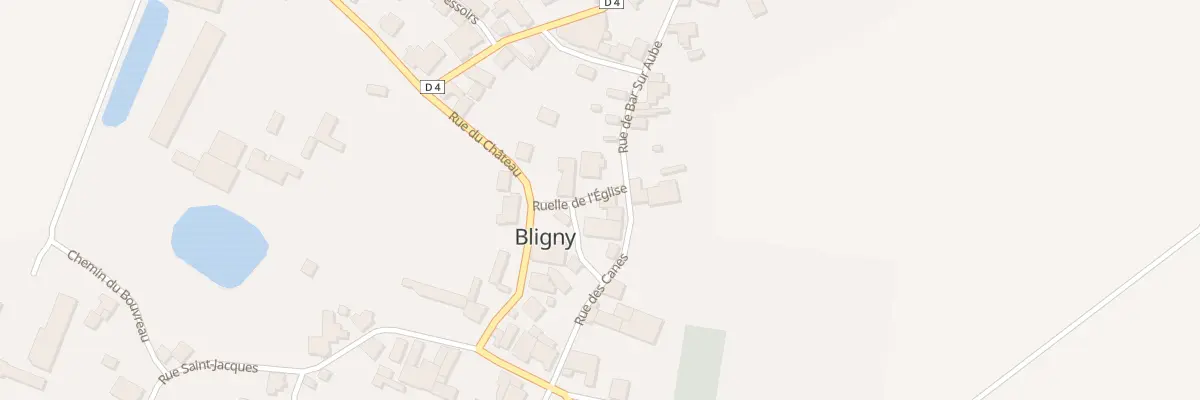 Plan du 96 Rue des Canes à Bligny