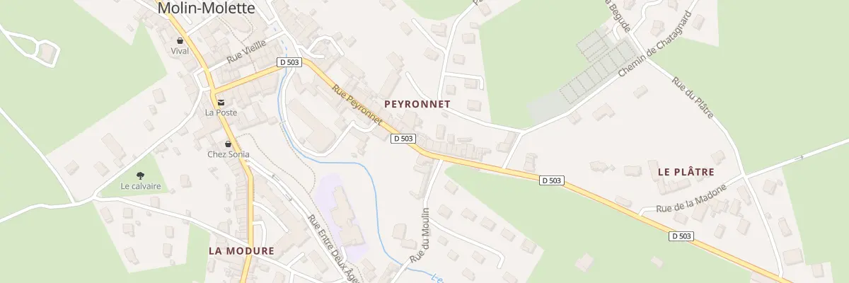 Plan du 29 Rue Peyronnet à Saint-Julien-Molin-Molette