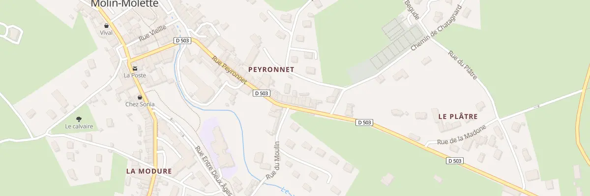 Plan du 39 Rue Peyronnet à Saint-Julien-Molin-Molette