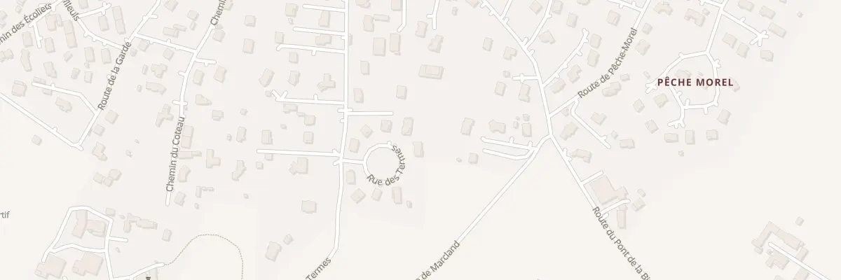 Plan du 2893 Rue des Termes à Roiffieux