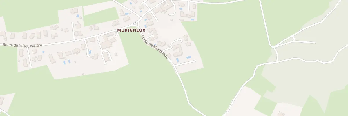 Plan du 20 Rte de Murigneux à Tartaras