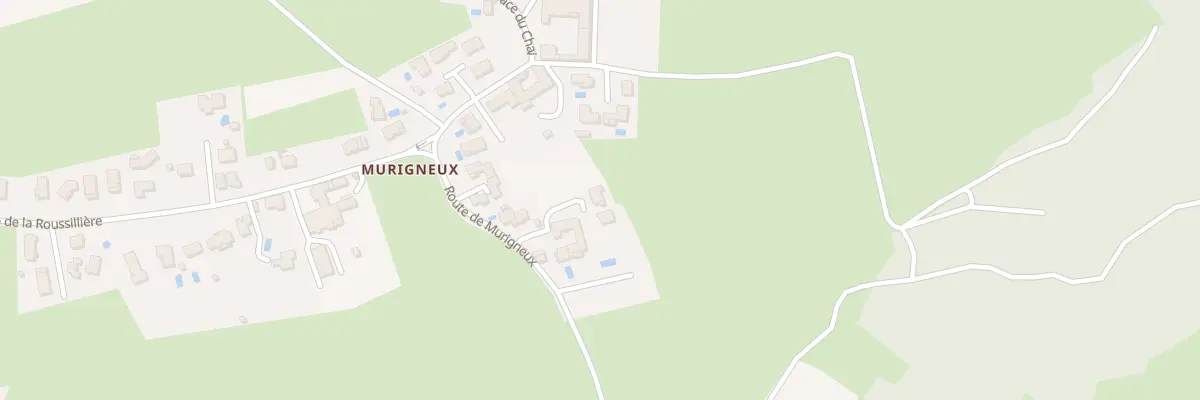 Plan du 28 Murigneux à Tartaras