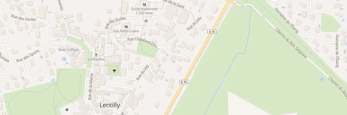 Plan du 64 Rue du Joly à Lentilly