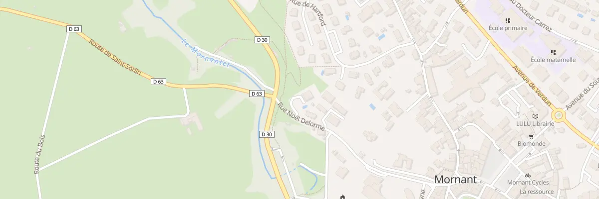 Plan du 268 Rte de Saint Sorlin à Mornant