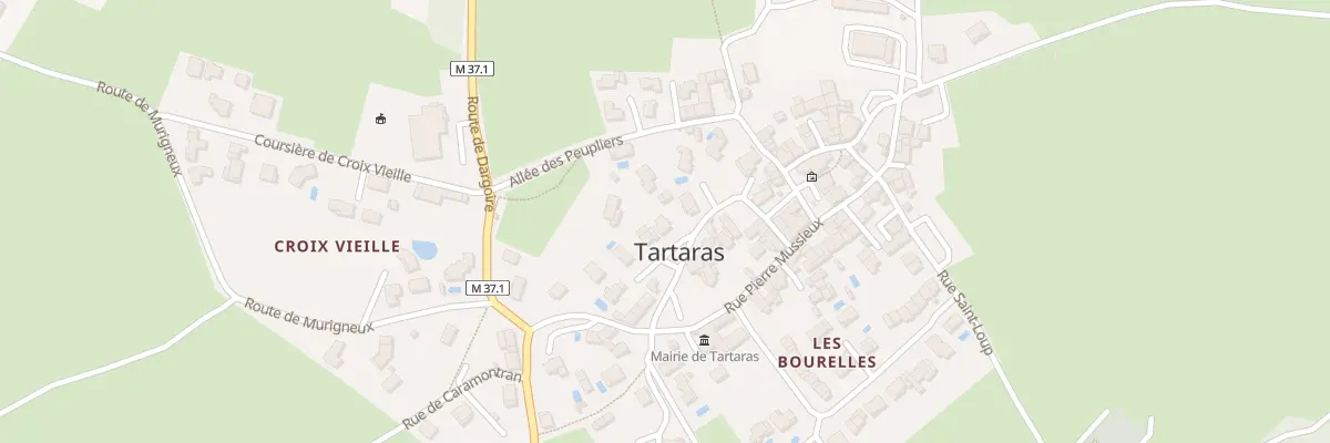 Plan du 8 Rue du Mont Chatelard à Tartaras