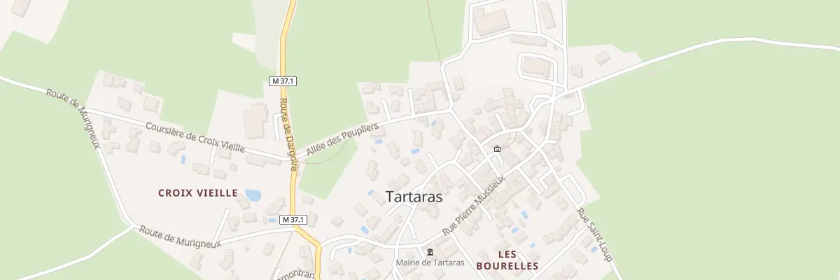 Plan du 4 Rue du Mont Chatelard à Tartaras