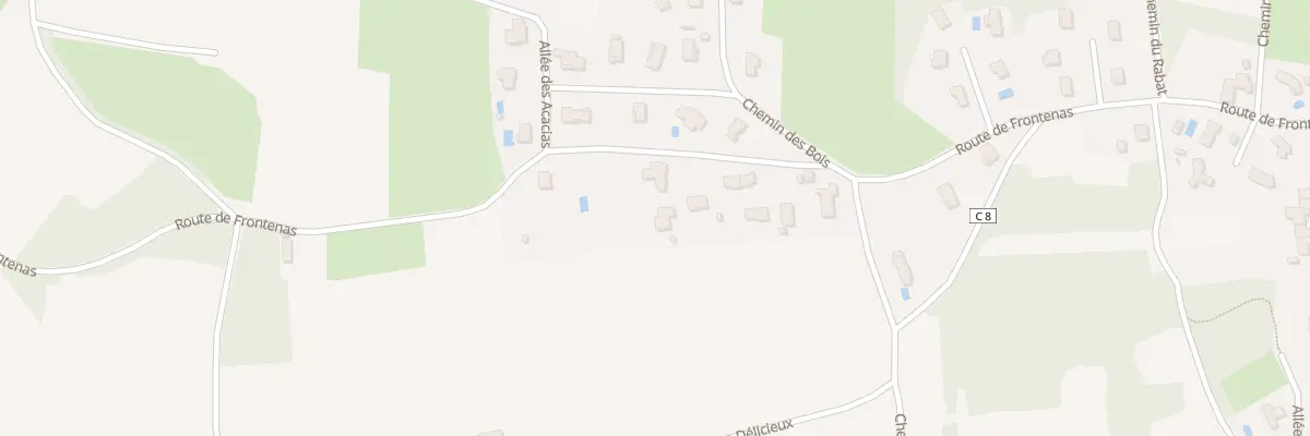 Plan du 803 Rte de Frontenas à Marcy