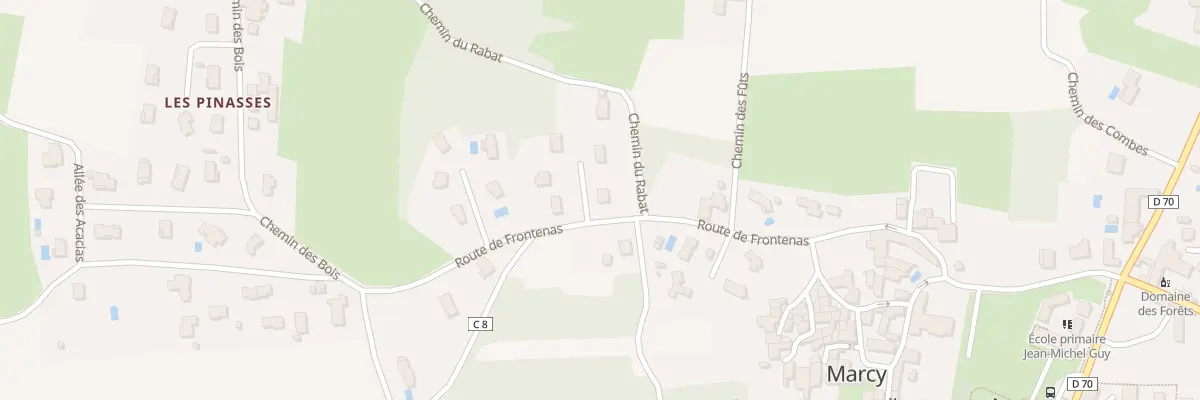 Plan du 460 Rte de Frontenas à Marcy