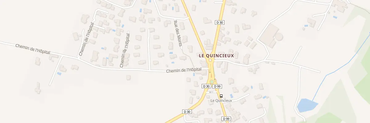 Plan du 81 Che de l’Hôpital à Sainte-Consorce