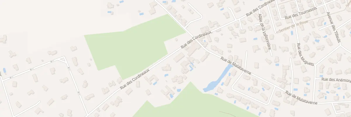Plan du 481 Rue des Cordineaux à Dommartin