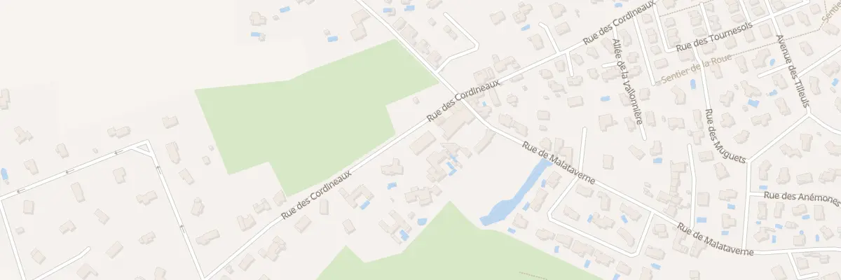 Plan du 443 Rue des Cordineaux à Dommartin