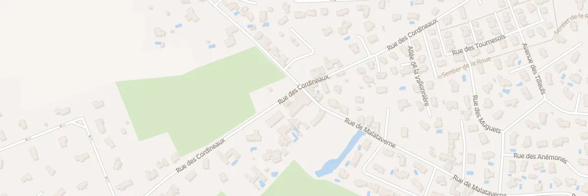 Plan du 421 Rue des Cordineaux à Dommartin