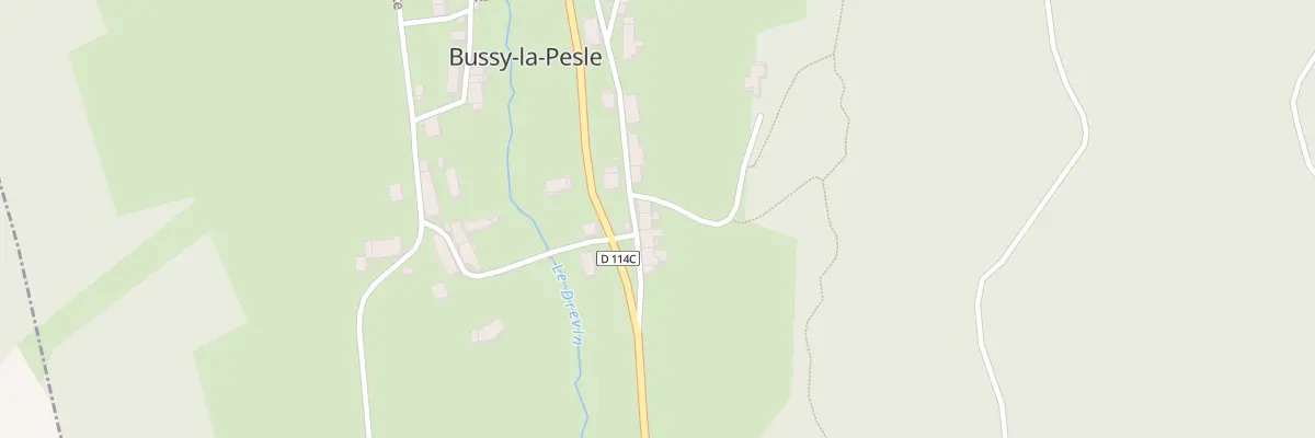 Plan du 21 Rue de l’Allemagne à Bussy-la-Pesle