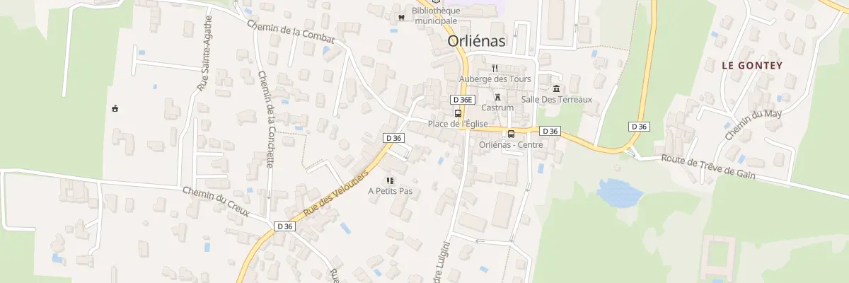 Plan du 243 Rue des Veloutiers à Orliénas