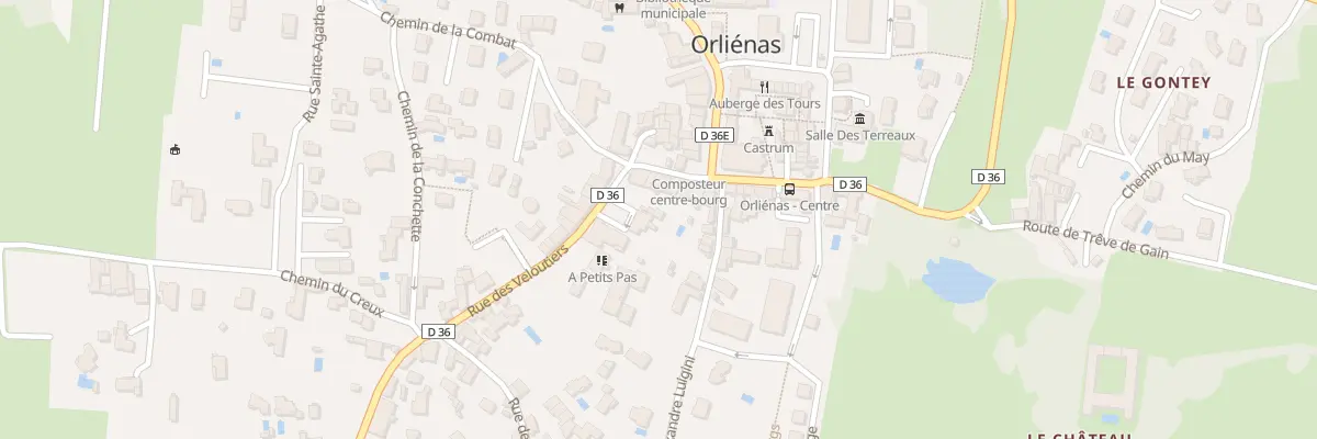 Plan du 309 Rue des Veloutiers à Orliénas