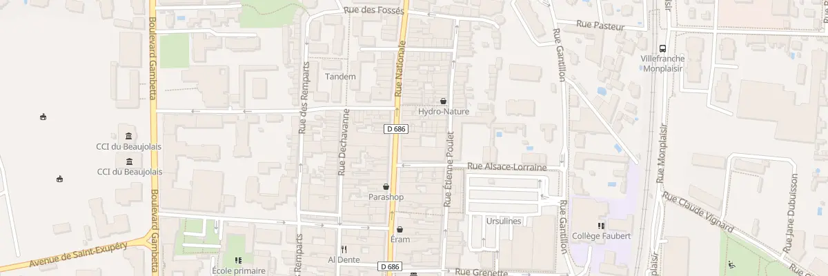 Plan du 319 Rue Nationale à Villefranche-sur-Saône