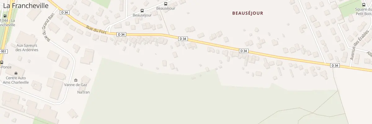 Plan du 52T Rte du Fort à La Francheville