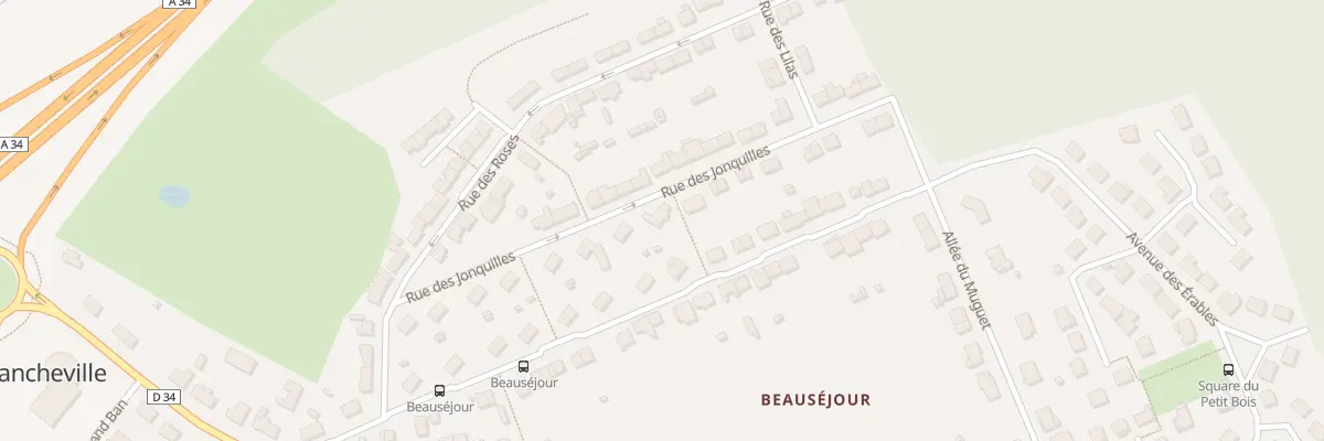 Plan du 16 Rue des Jonquilles à La Francheville