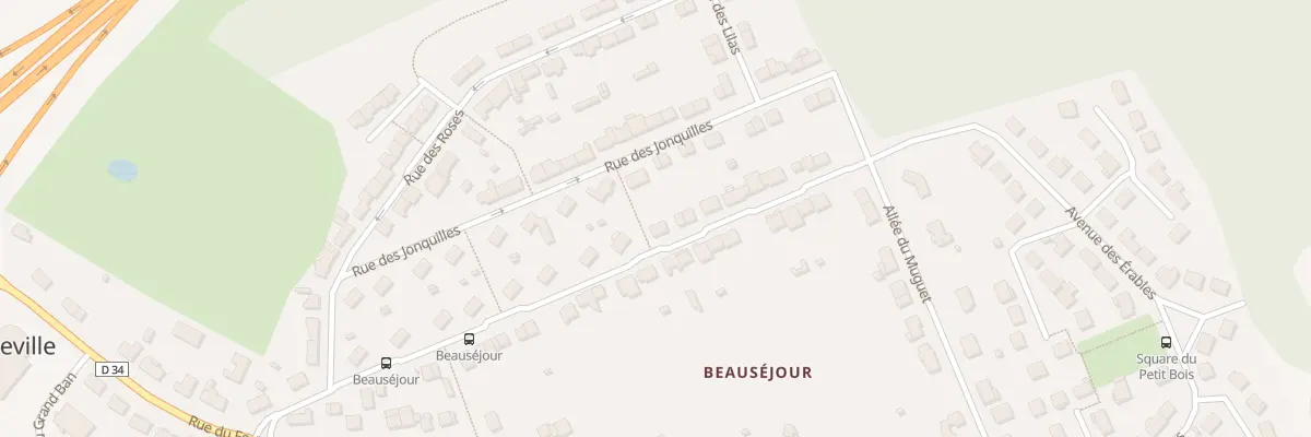 Plan du 21 Rue du Chemin Vert à La Francheville