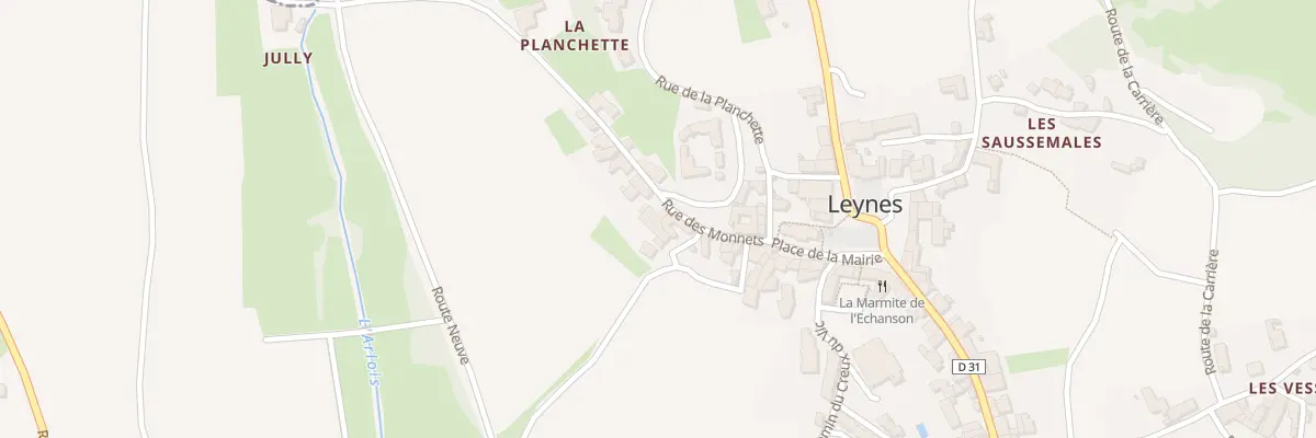 Plan du 85 Rue des Monnets à Leynes