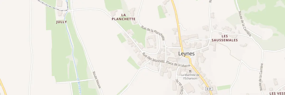 Plan du 98 Rue des Monnets à Leynes